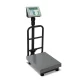 Bascula de plataforma plegable Advance de 100 kg (INCLUYE INDICADOR I-PCA)