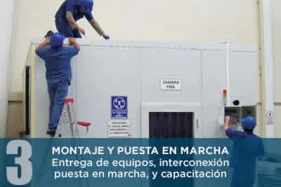 MONTAJE_MOVIL_2.jpg